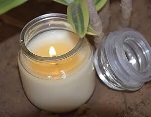 DishTrend Scented Jar Candle Highly Fragranced Smoke-Free Wax (White)-Relaxation and Serenity in Every Flame | Vanilla Fragrance Candles for Home & Gift Sets (Pack of 1)